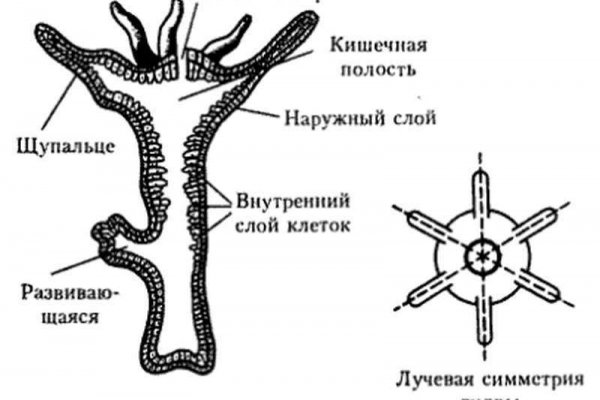 Darknet магазин