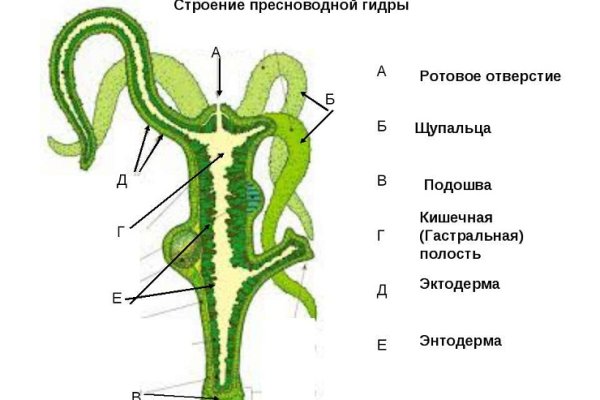 Ссылка кракен зеркало тор