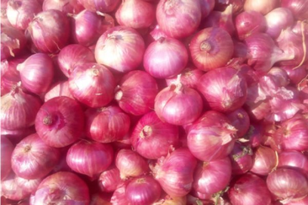 Кракен основная ссылка onion