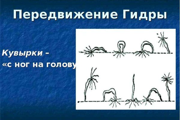 Kraken найдется все