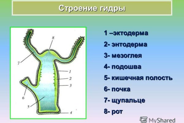 Кракен сайт тор ссылка