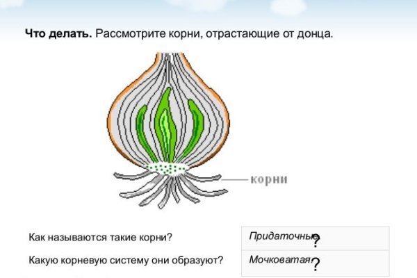 Ссылка на кракен даркнет